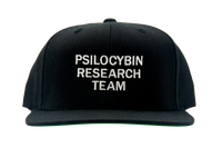 Psilocybin Research Team Snapback